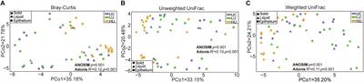 Changes in the Solid-, Liquid-, and Epithelium-Associated Bacterial Communities in the Rumen of Hu Lambs in Response to Dietary Urea Supplementation